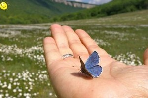 Как заботиться о внешности Как заботиться о внешности