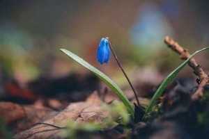 Советы детского психолога Советы детского психолога