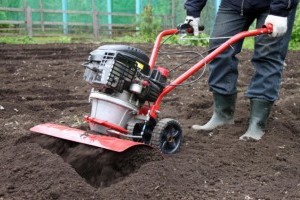 Для чего нужен культиватор в саду? Для чего нужен культиватор в саду?