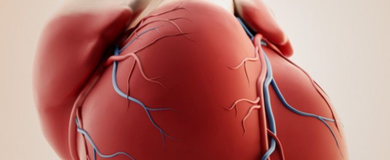 Ишемическая болезнь сердца и ее основные симптомы