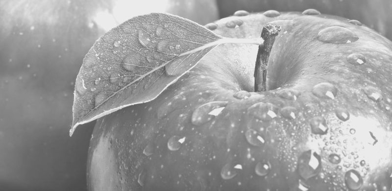 Какие продукты помогают очищать организм